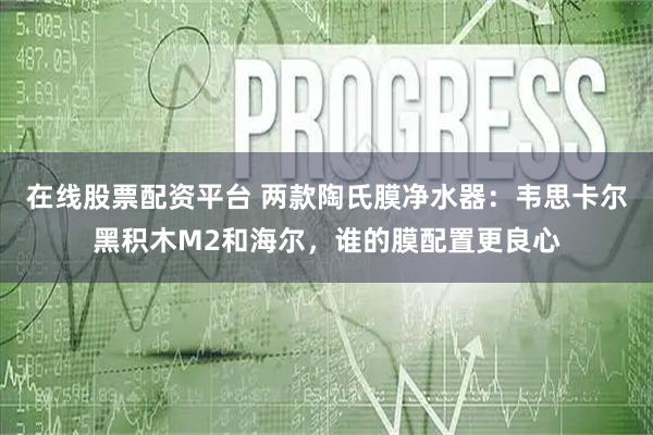在线股票配资平台 两款陶氏膜净水器：韦思卡尔黑积木M2和海尔，谁的膜配置更良心